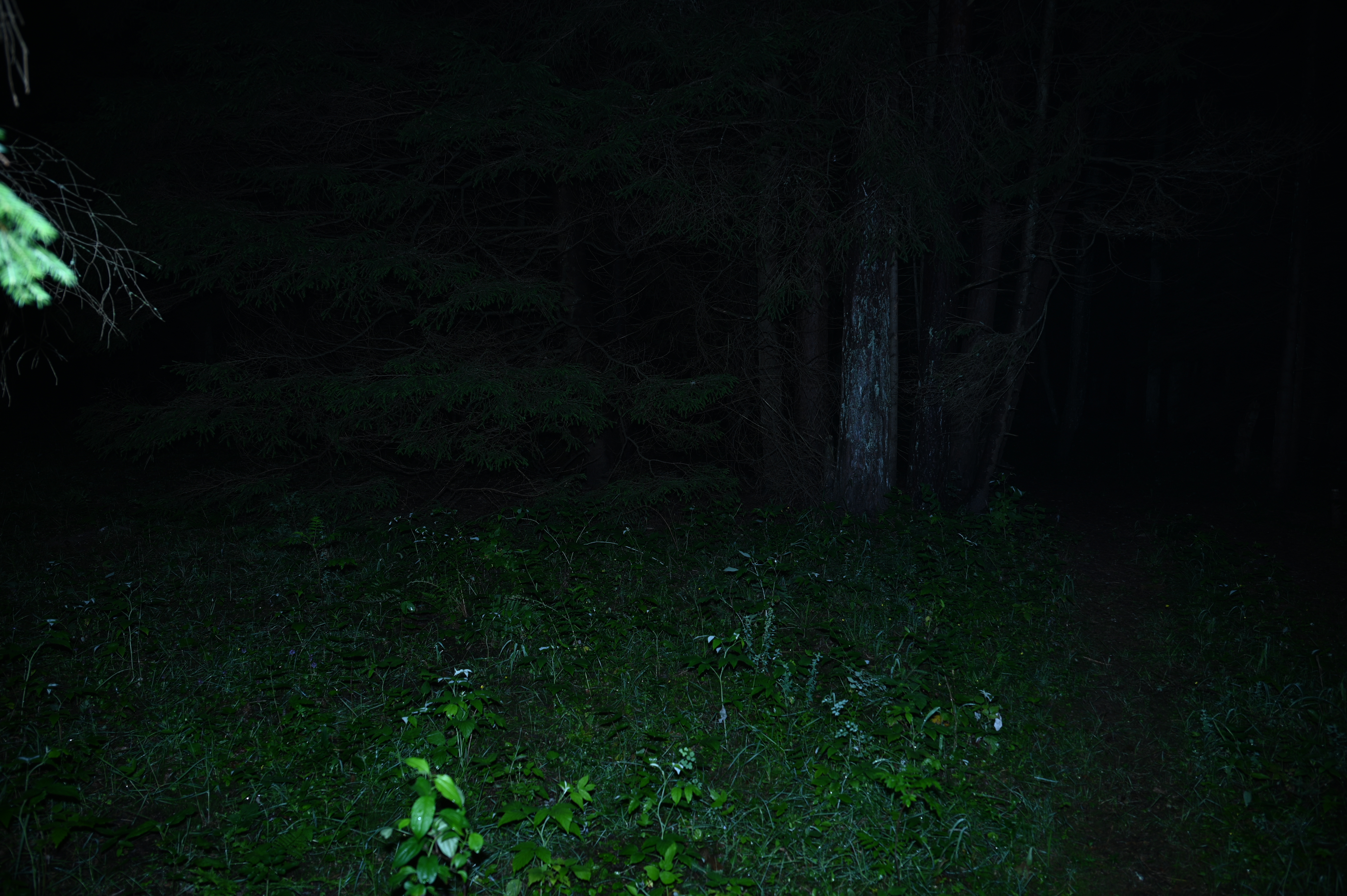 2025/07/09-14 - trip/DSC_0300.JPG